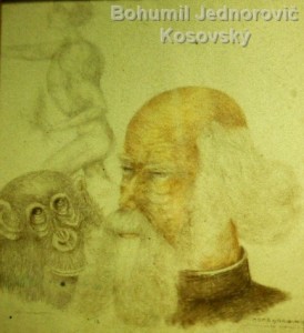 Homo Darwinus  